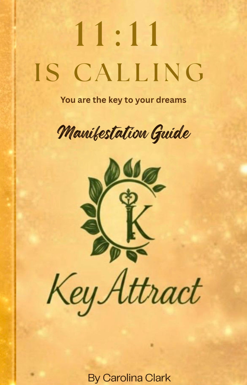 Stop Waiting, Start Attracting: Your 11:11 Transformation Begins Now