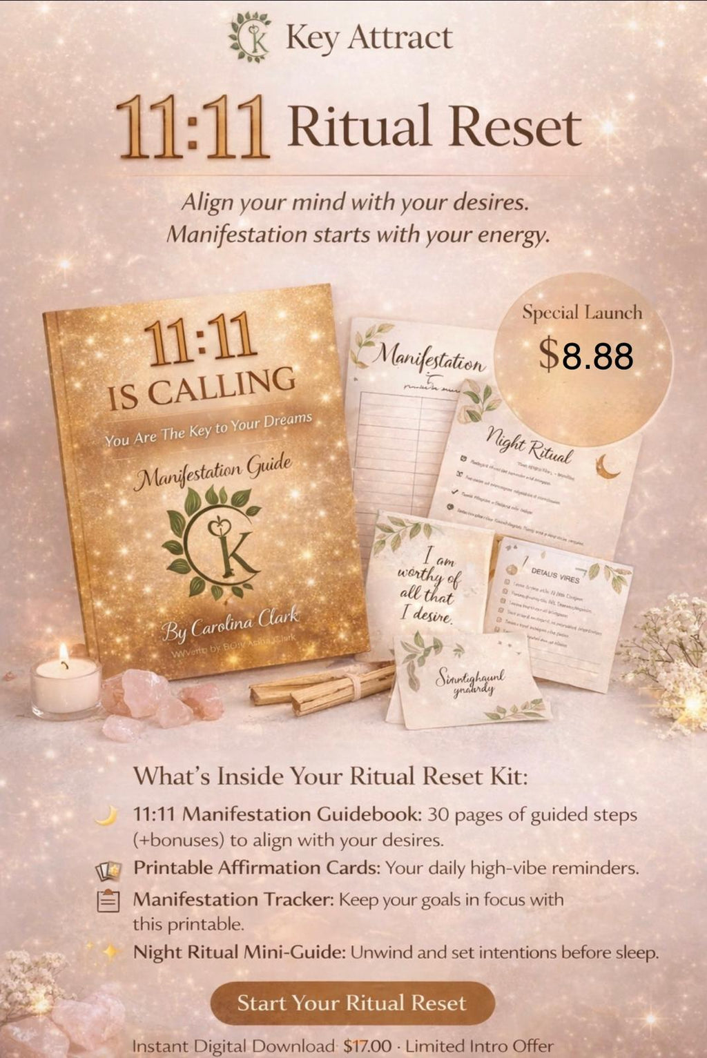 Stop Waiting, Start Attracting: Your 11:11 Transformation Begins Now